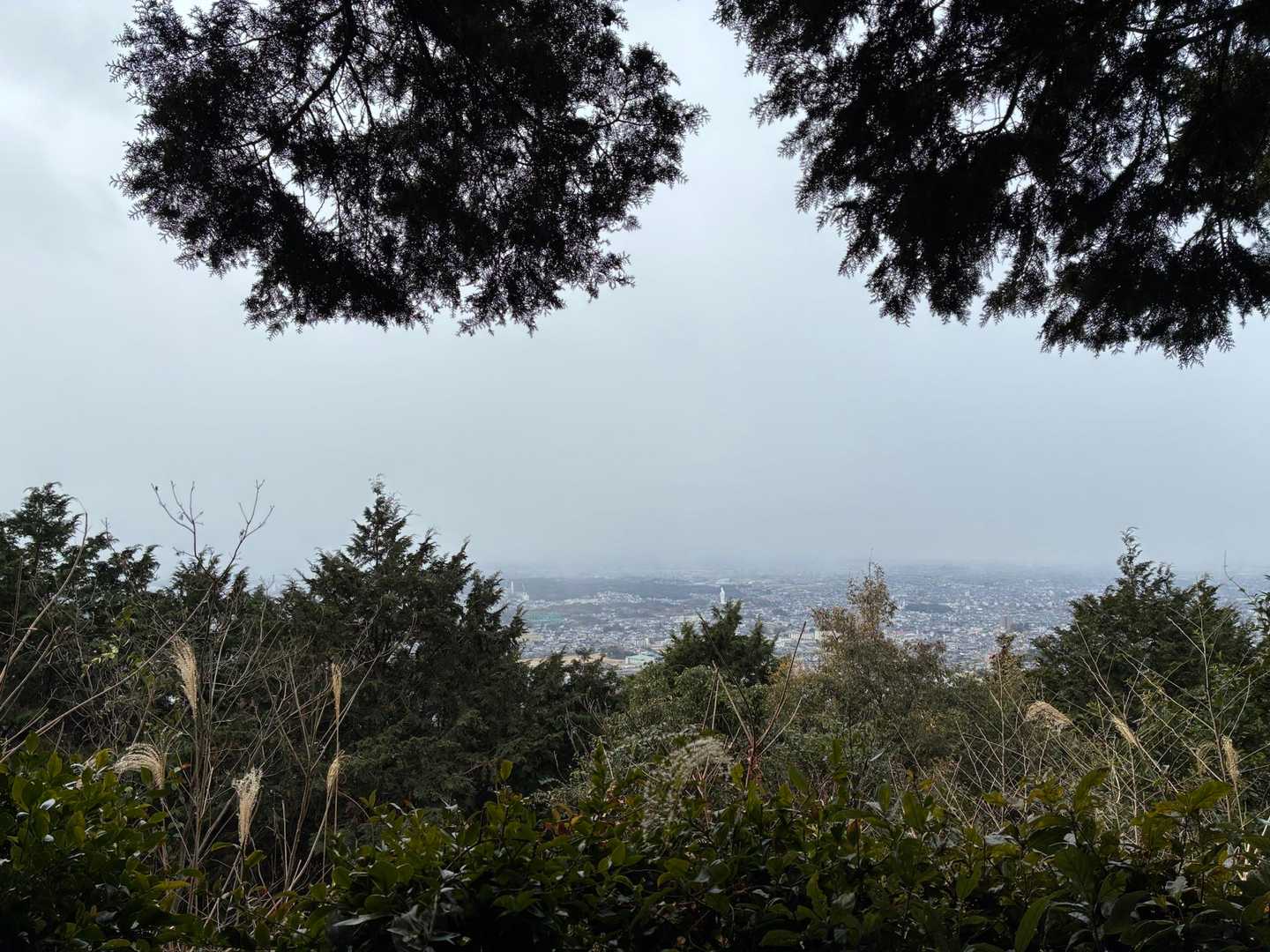 展望所、☁️