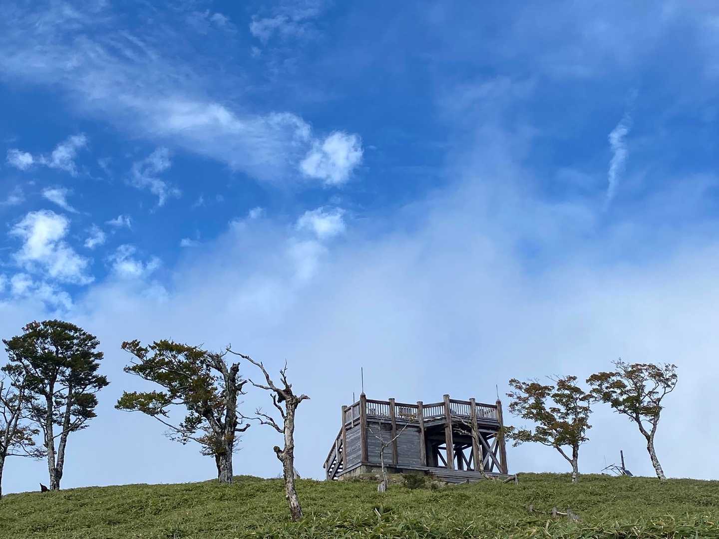 大台ヶ原バス停-大台ヶ原山-尾鷲辻-大蛇グラ 周回コースの写真