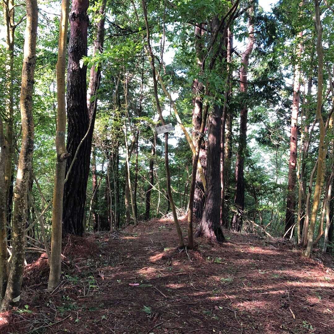 奥槇尾山の写真