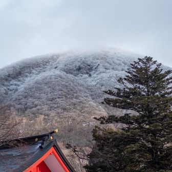 神社越しの駒ケ岳の霧氷