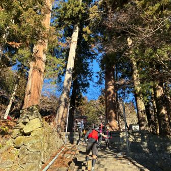 金櫻神社までの階段！走れない！