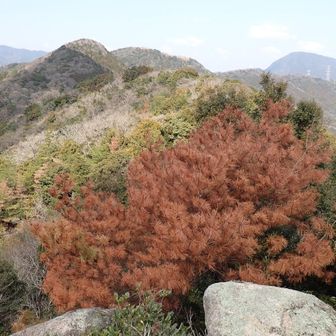 ピーク16番目、仲哀山付近の見晴らし良いロックに立ってみた