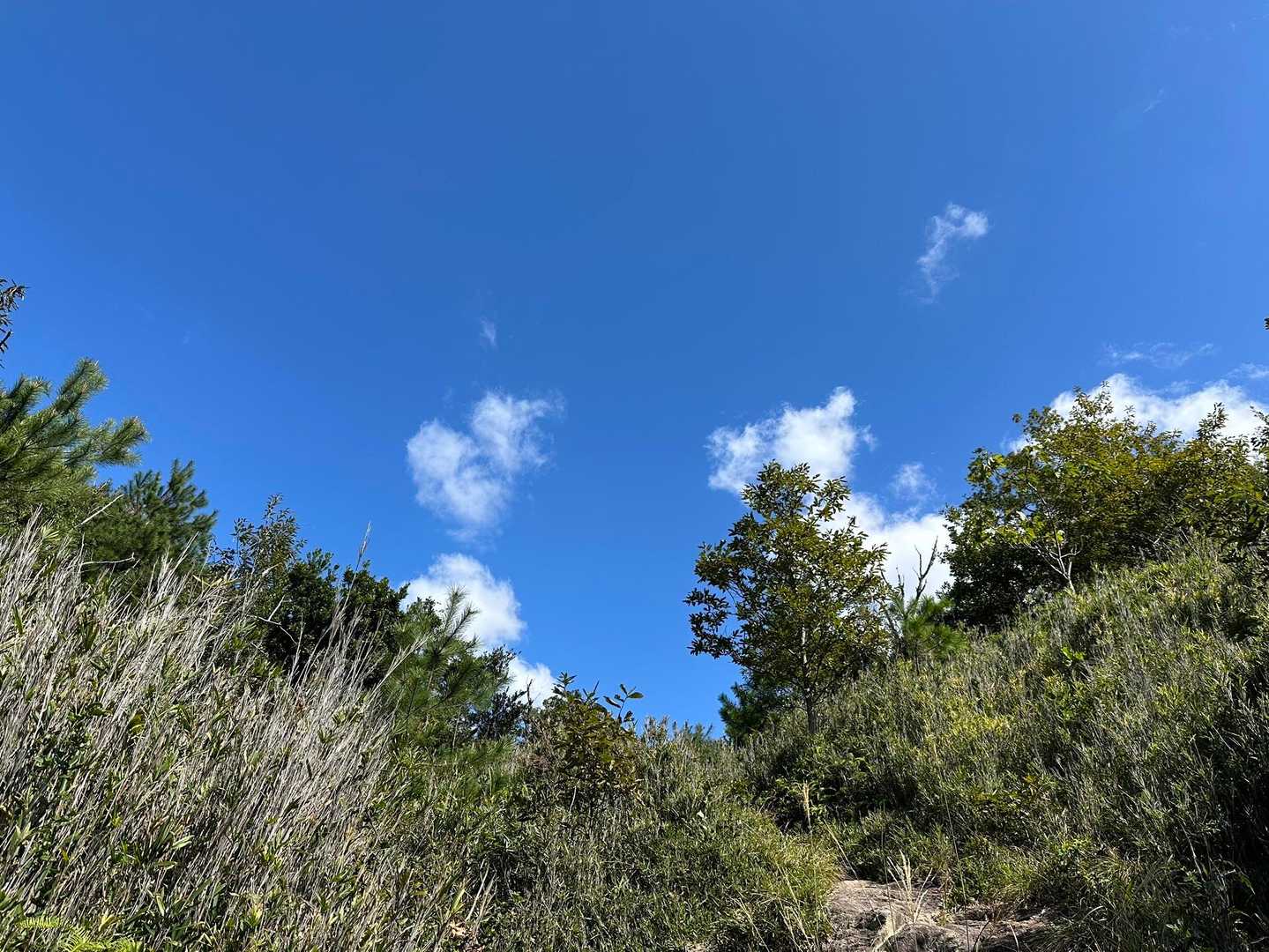 青空