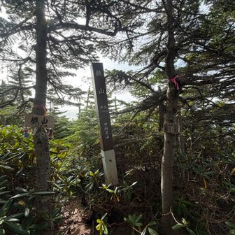 分岐前のロープの脇を通って南側の道から鉄山へ。眺望は今一つ