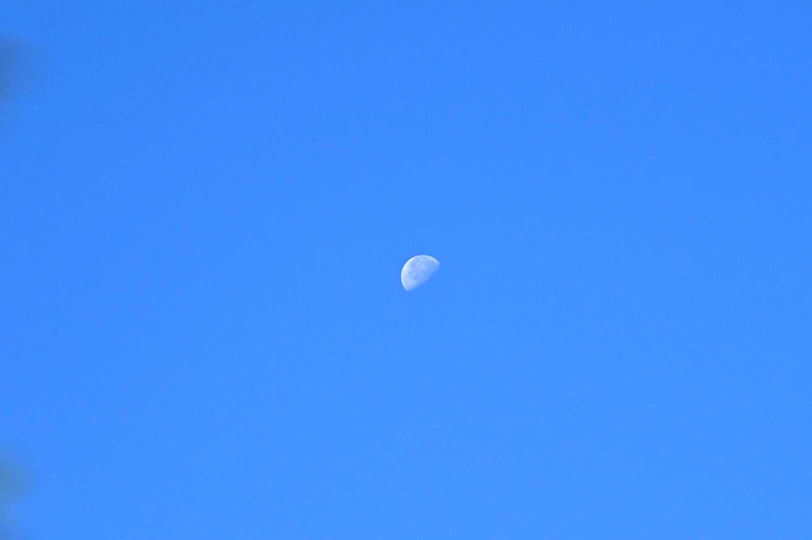 お月様も綺麗やね🌖