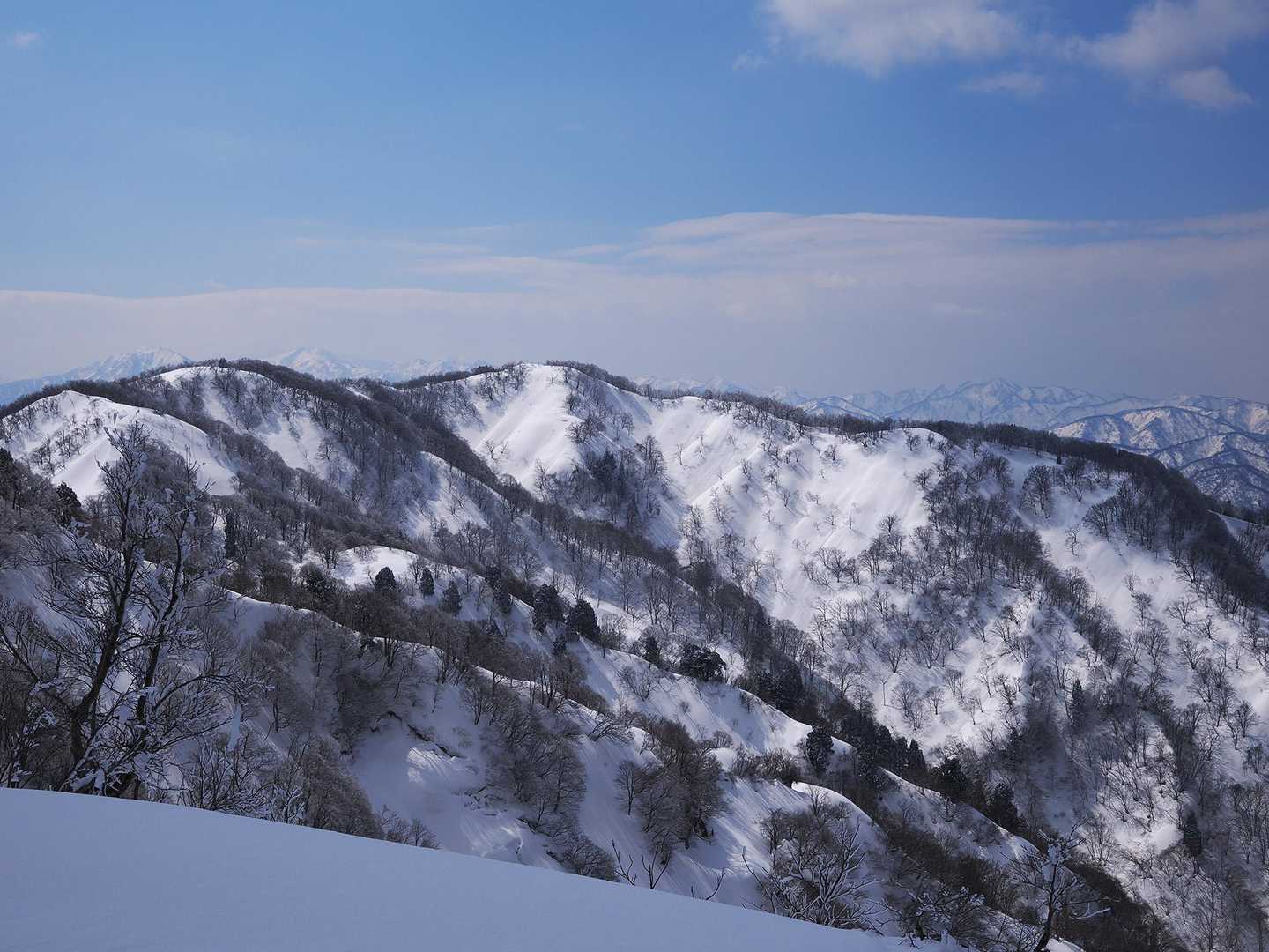 奥医王山をアップで。
