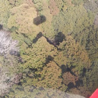 ロープウェイの影に喜んでいる。