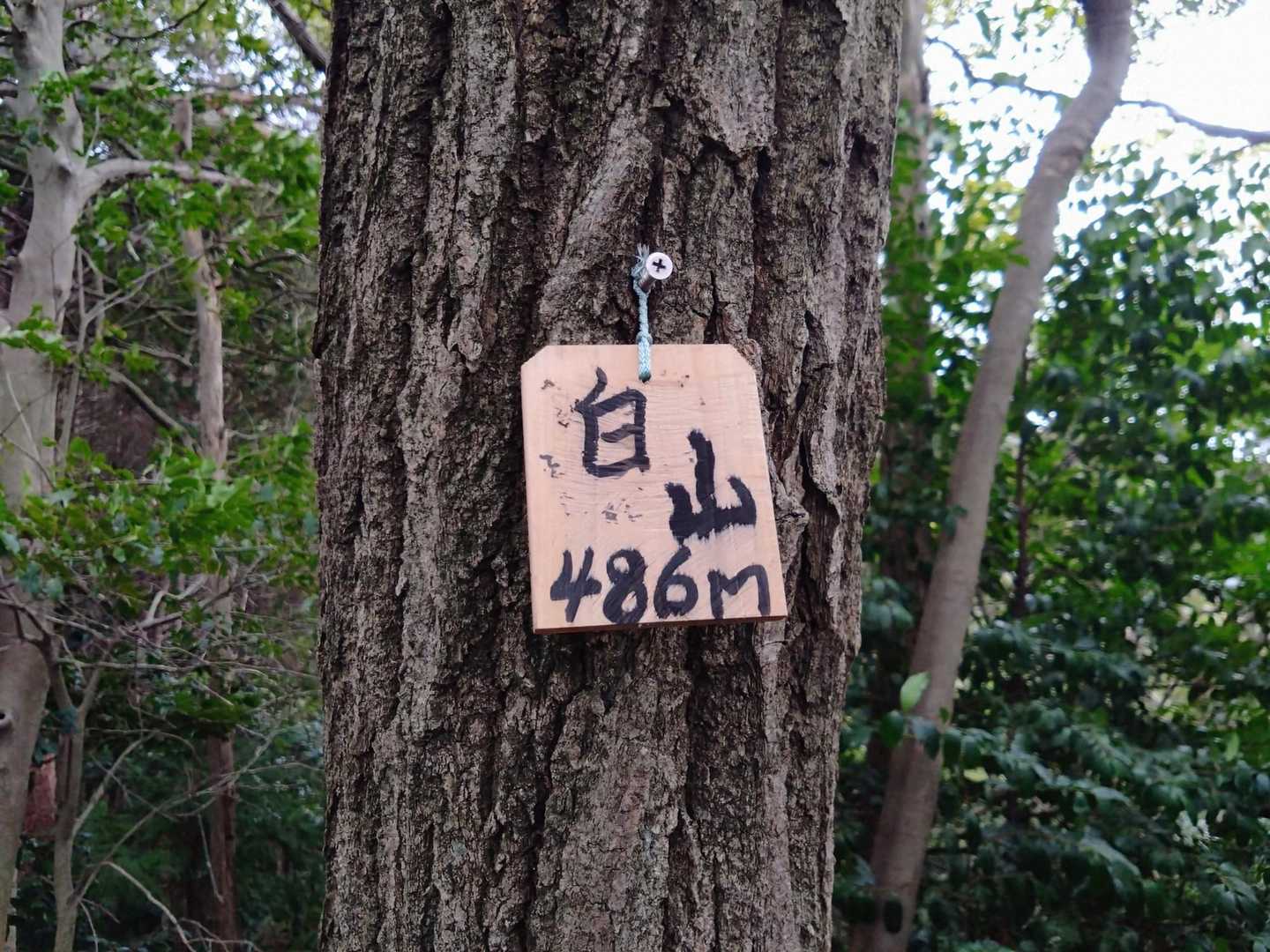 白山到着🙌486m✨️