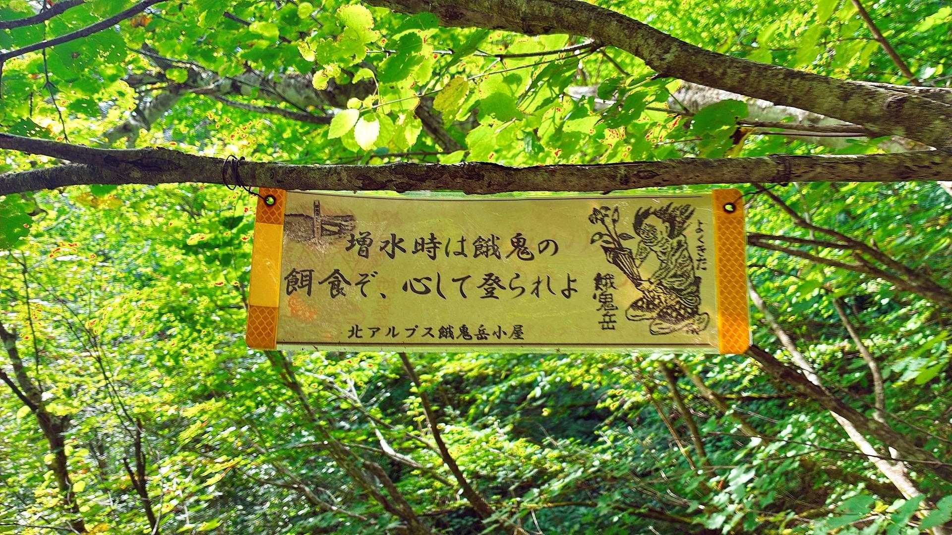 増水時は要注意⚠️
