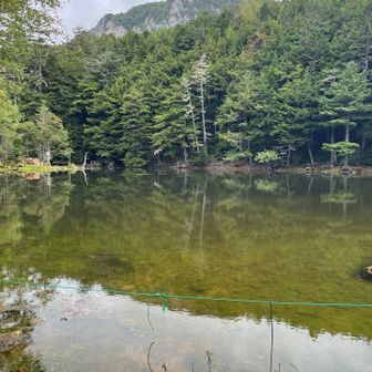 ミドリ池