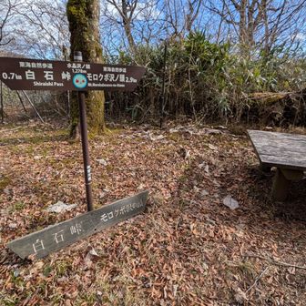 水晶沢ノ頭を通過。ちなみに水晶沢とは、このピークの南側にあるモロクボ沢の枝沢だそうです。夏に登ってみたいなぁ
