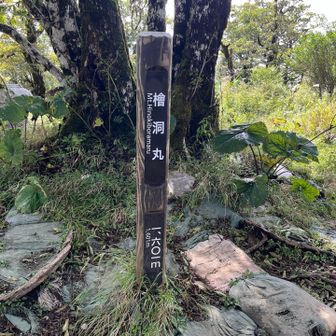 檜洞丸とうちゃく
今回、檜の書き方を覚えた 意外と簡単、覚えやすい😄