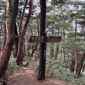 富士見ベンチ