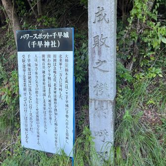 今日は千早城跡から🏯