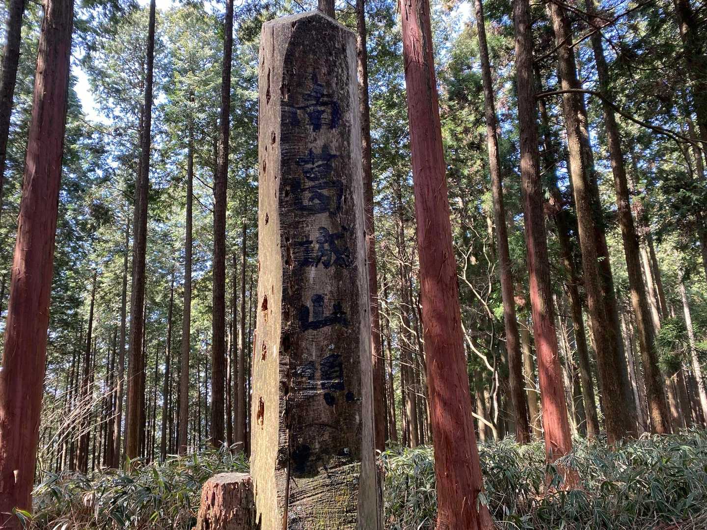 南葛城山山頂に到着です。眺望はありません。