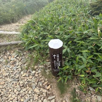 下山する〜