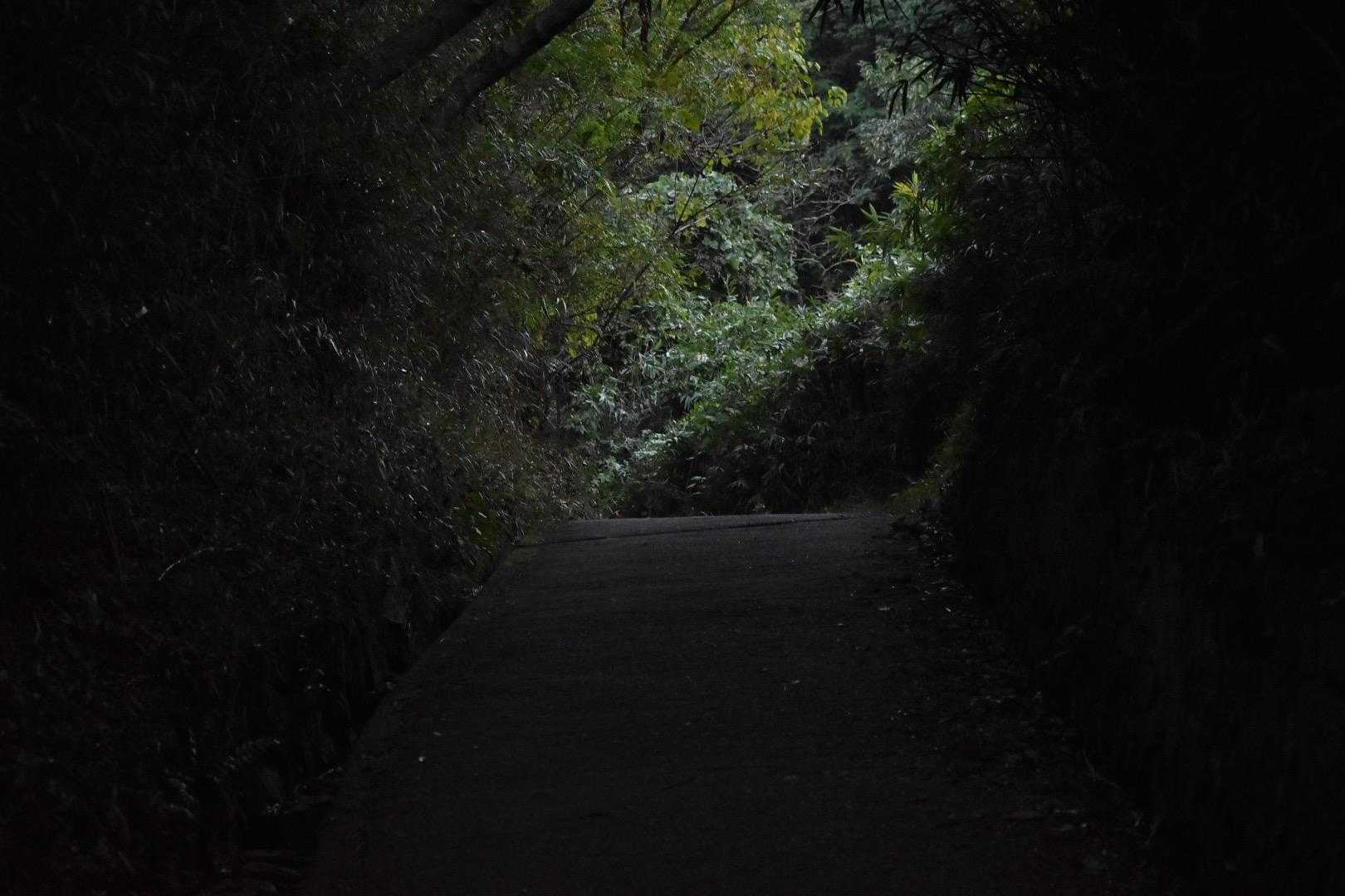 でもあまり時間はないのでそそくさと山頂を目指します。