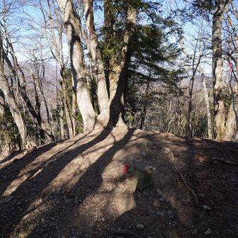 中ノ倉山の山頂ー

中ノ倉山に登ってる時に足が攣り始めた…
(;´д｀)💦