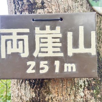 両崖山登頂251m