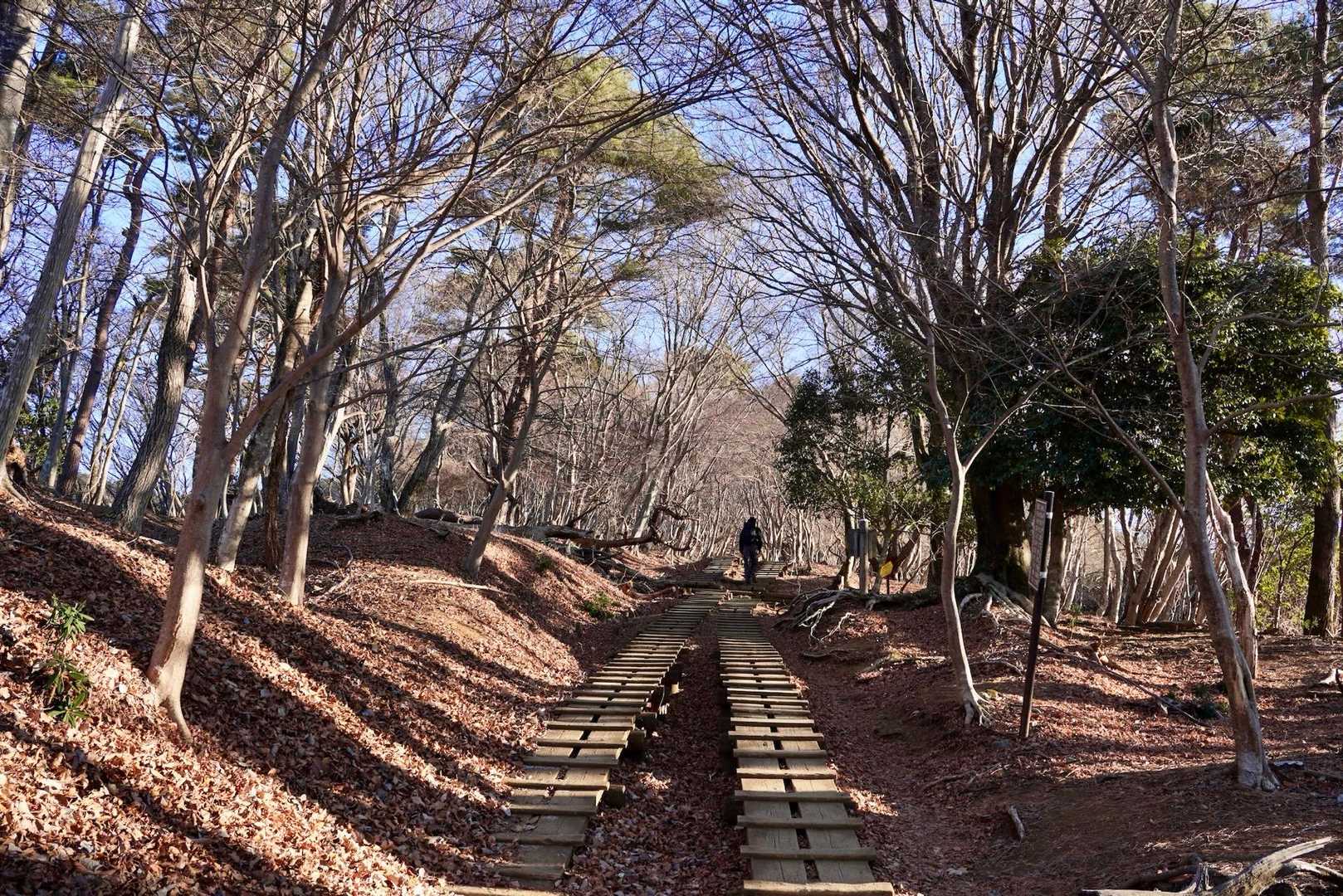 丹沢感