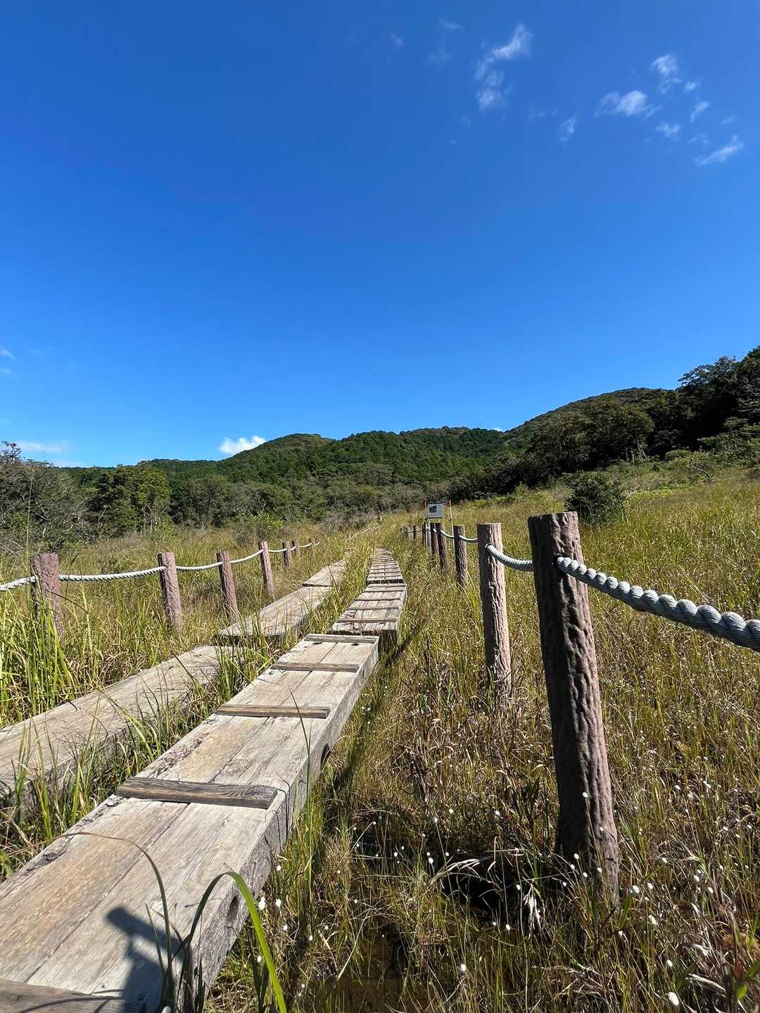 青い空に濃い緑の山⛰️

9月のはじめに捻挫して1ヶ月経つけど
歩くとまだ痛みがあり😿
⛰️は今日はおやすみ。