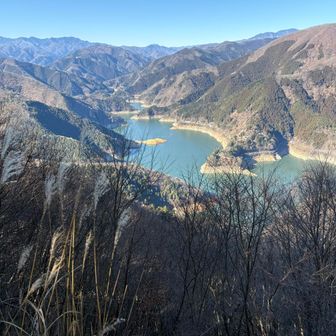 惣岳山を過ぎると、ぐんぐん下って行きます。
奥多摩湖が見えて来ました。
左手の山頂に白い塔が輝くのは鹿倉山、右手は七ツ石山などです。
今日は晴れて、奥多摩の山々が綺麗に見える、奥多摩日和です。