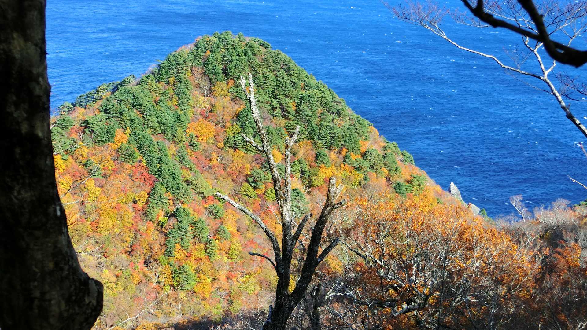 太陽が上がってきたら赤平の裏の山の斜面の紅葉が凄い！😱✨こんなに綺麗だったのか？今回初めて気づきました！目の前に藪木があって撮りずらいので少しだけ藪漕ぎして😆
