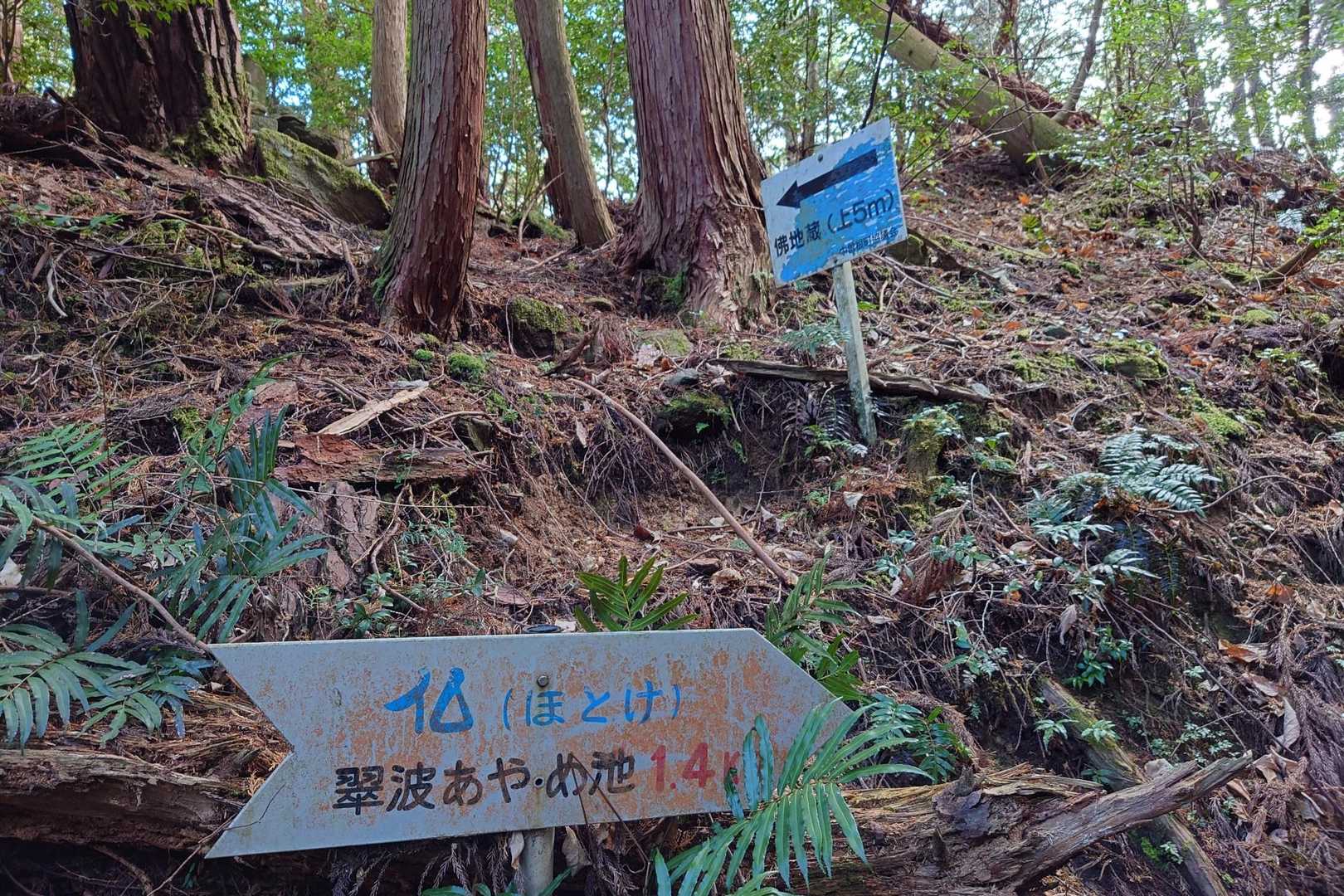 翠波峰 往復コースの写真