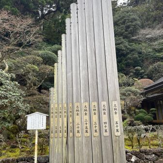 卒塔婆

あの世も金💴次第
50万円は3mくらいはありそう😆
6年保管してくれるそうです