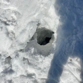 山頂手前は大きな穴
踏み抜き危険な場所が