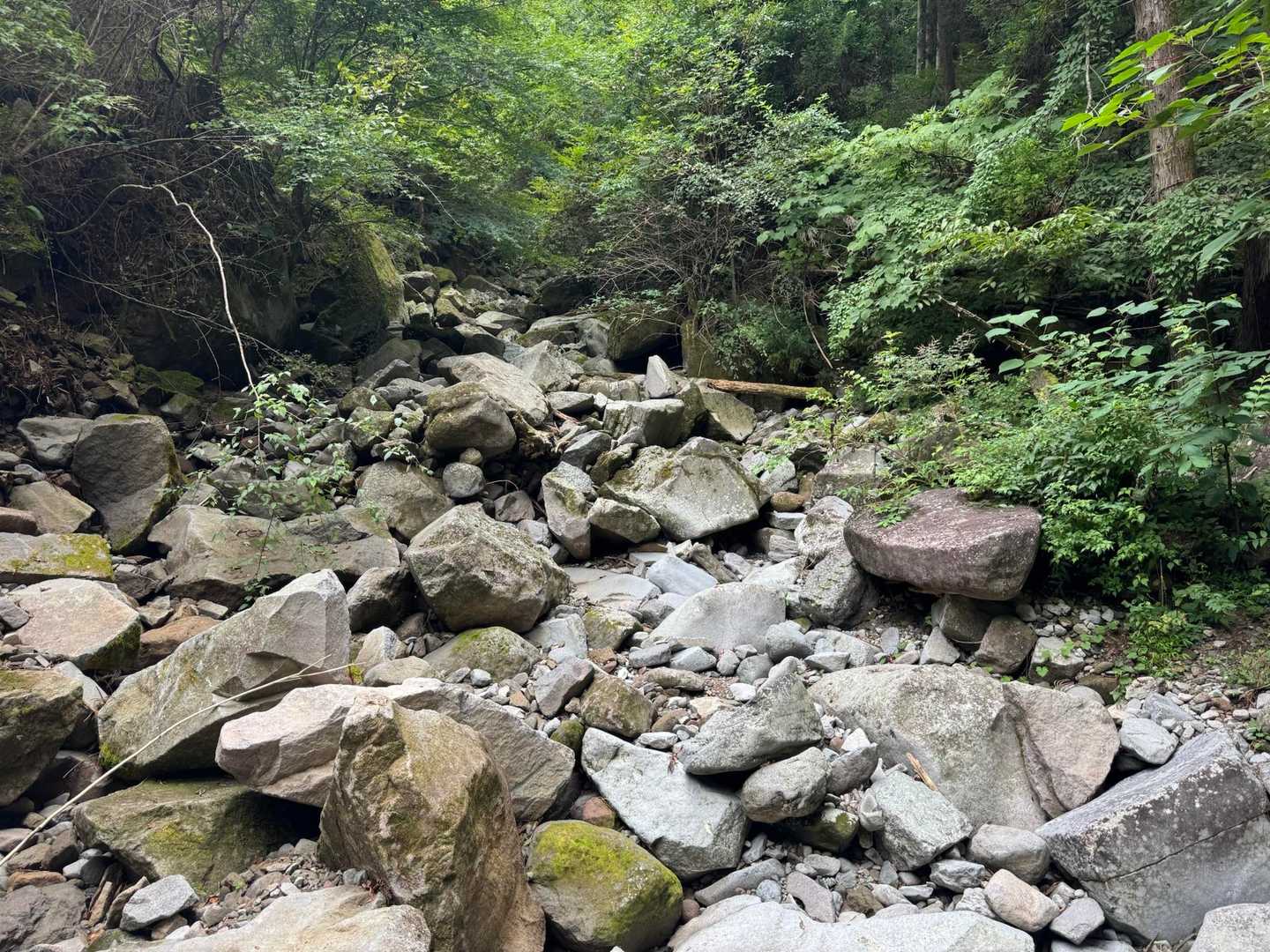 三国山 往復コースの写真