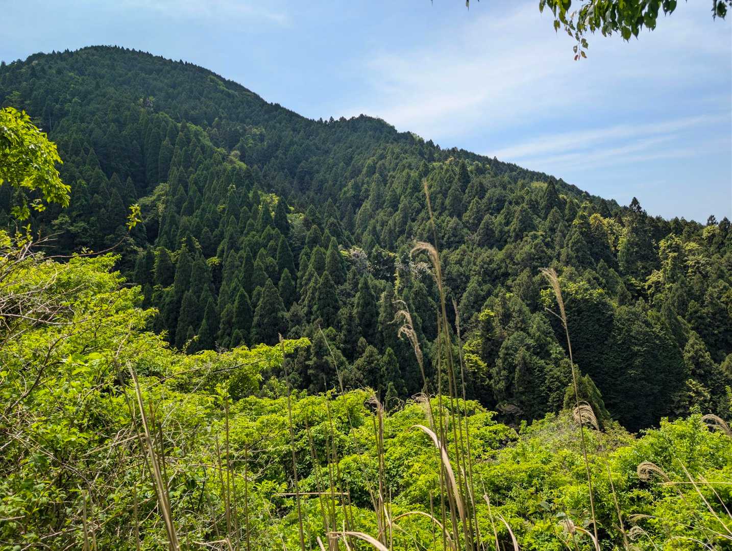ヤッホーポイントからの景色