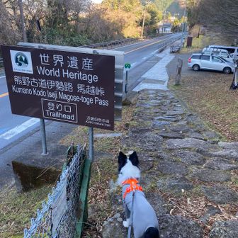 ゴールです
お疲れ様