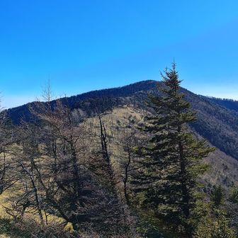 峠から更に南の水晶山、雁峠方面。こっちまで足を伸ばせる体力をつけたい。