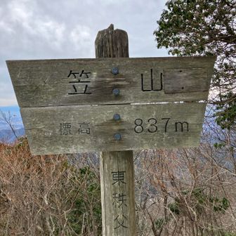 はい、もう一座ゲット。