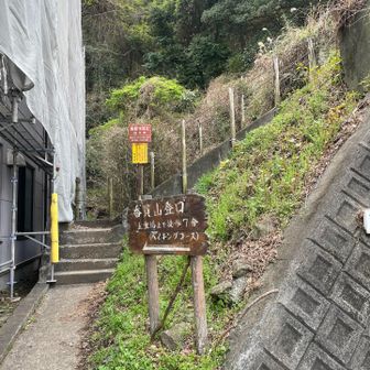 ここから入山⛰️