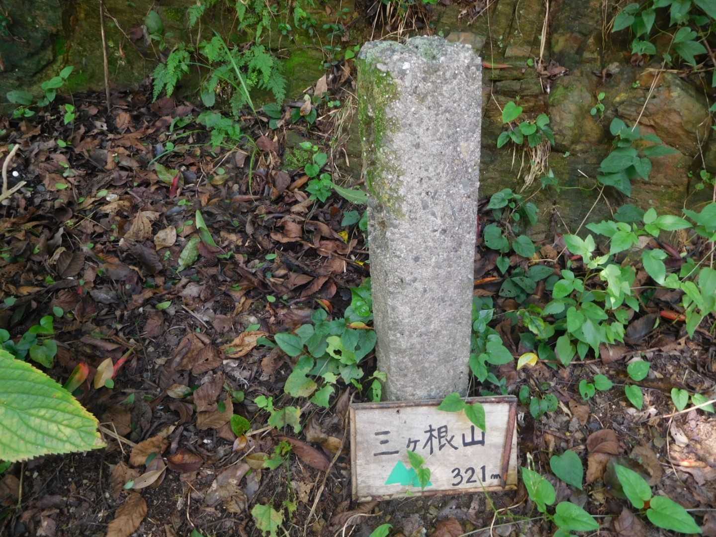 わかりにくいけど三角点