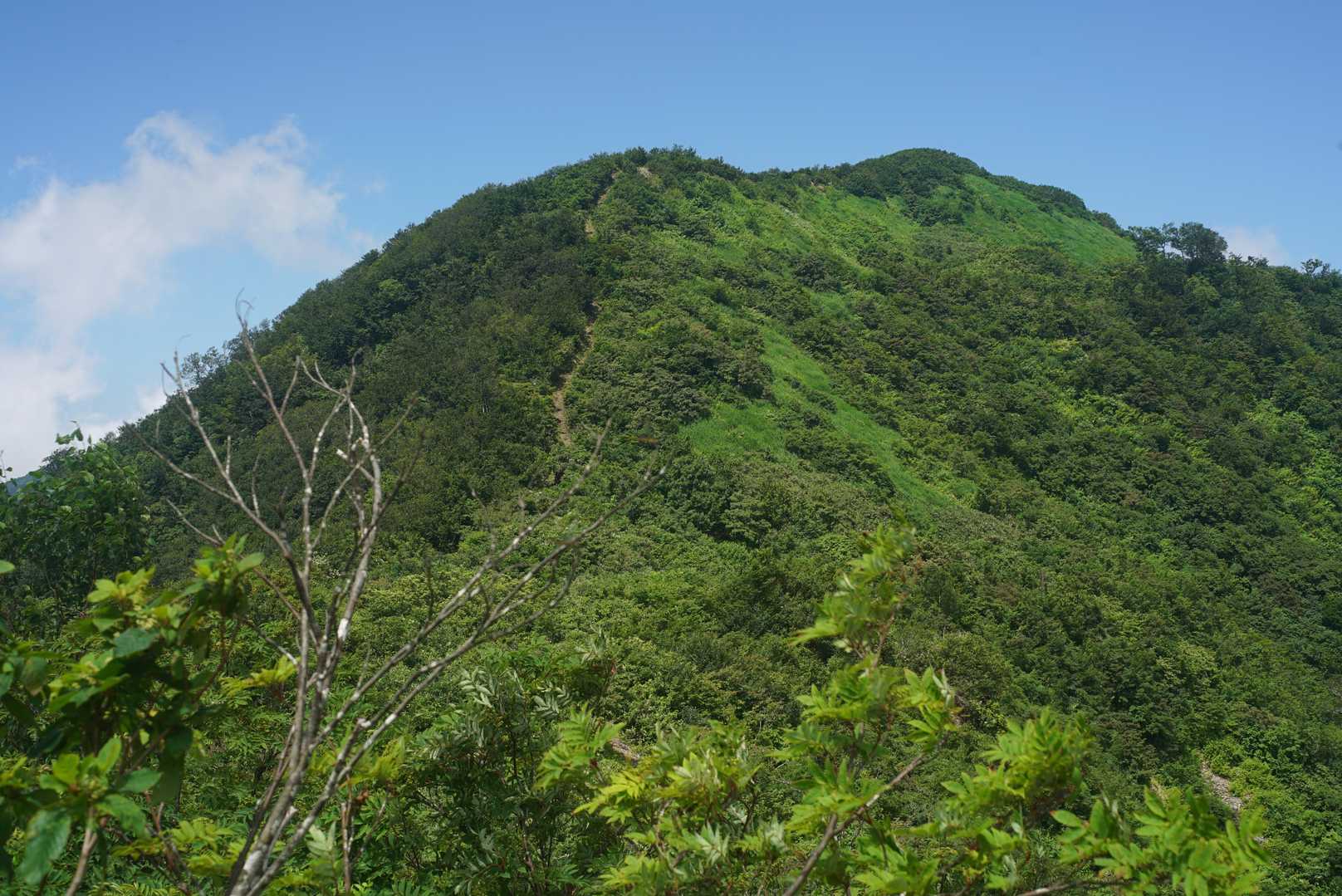 これから登る急登