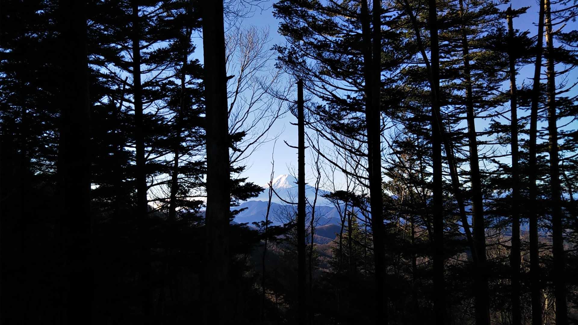 富士山見えた