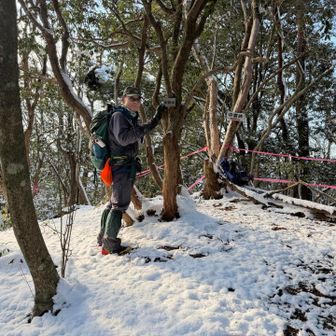 分岐から30分程度で山頂
山頂というよりちっちゃいピーク