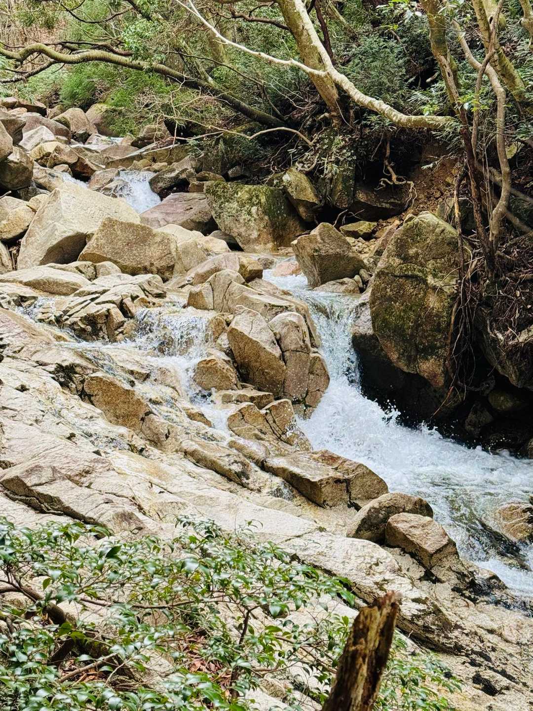 朝明登山口-羽鳥峰 往復コースの写真