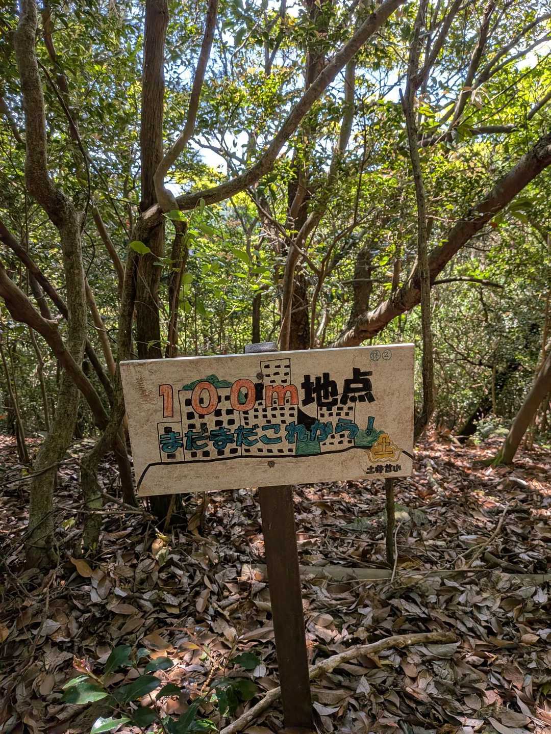 八郎岳-小八郎岳 往復コースの写真