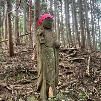 勝五郎地蔵、身長私より高そう