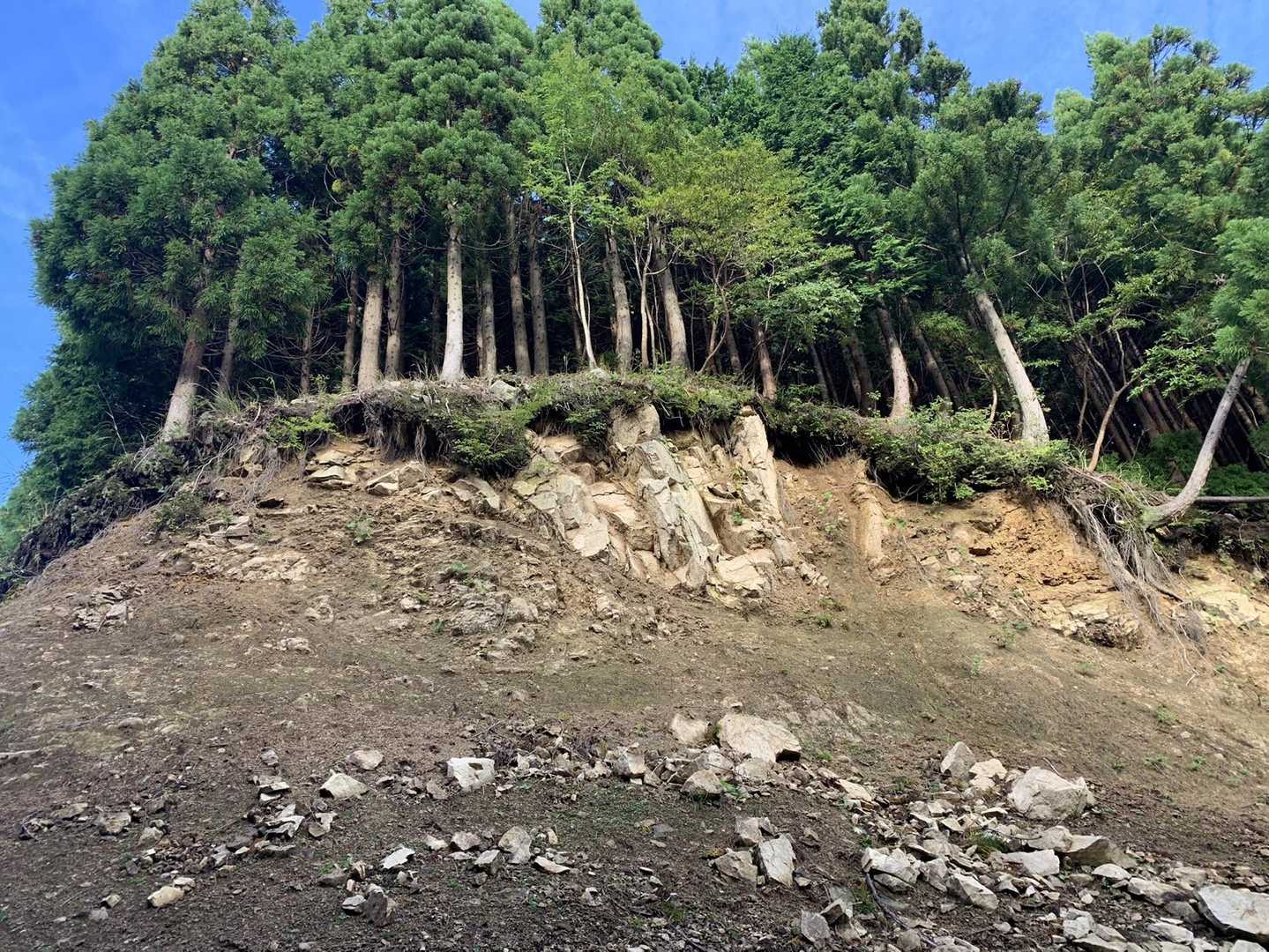 この斜面が崩れたんですね。脆そうな岩やな…