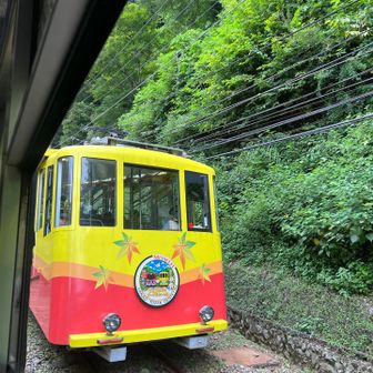 写真下手くそか😂
