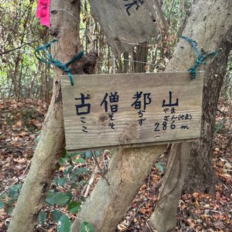 古僧都山⛰️

此方もややこしく🤭