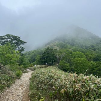石鎚山の全体像は最後まで観られず