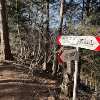 近くなので大同山⛰️まで行ってみました。