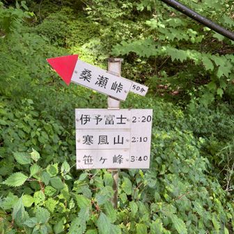 わかりやすい看板🪧