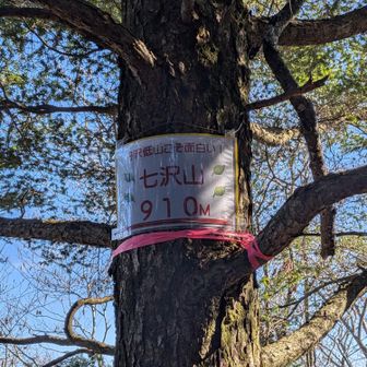 丹沢低山こそ面白い！その通り